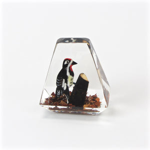 Acrylic woodpecker paperweight front view