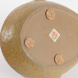 Amthor Imports Japan Label on mustard glaze fish