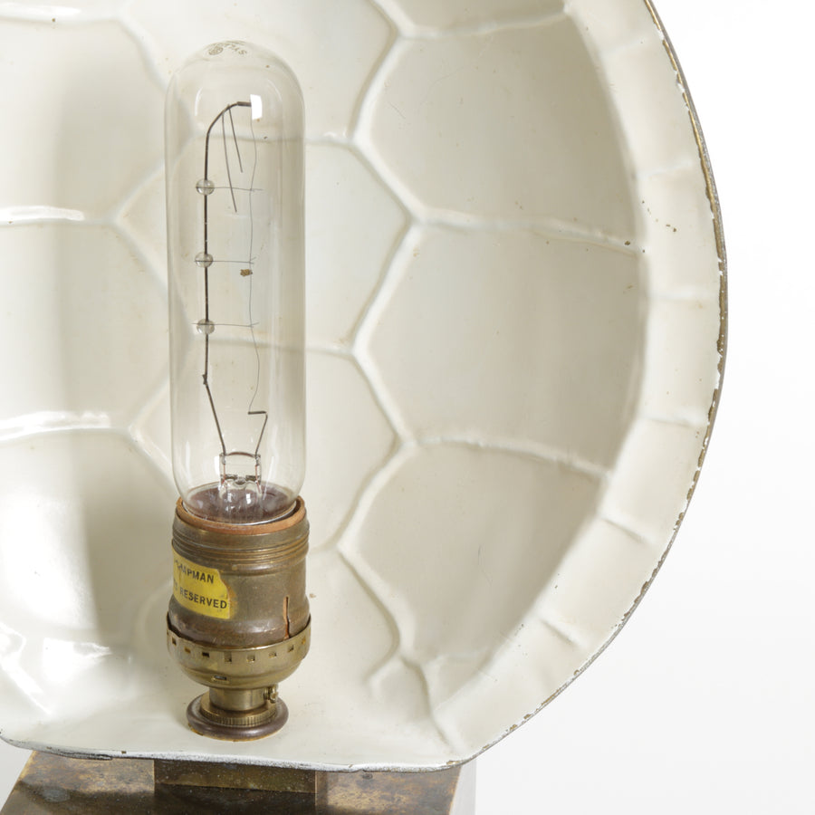 A brass turtle shell lamp sculpture on a dark brass rectangular base, photographed against a plain light gray studio background. A black cord extends from the right side of the base.