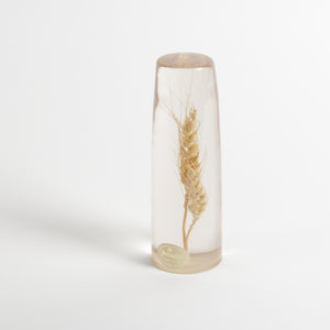 Wheat suspended in resin paperweight
