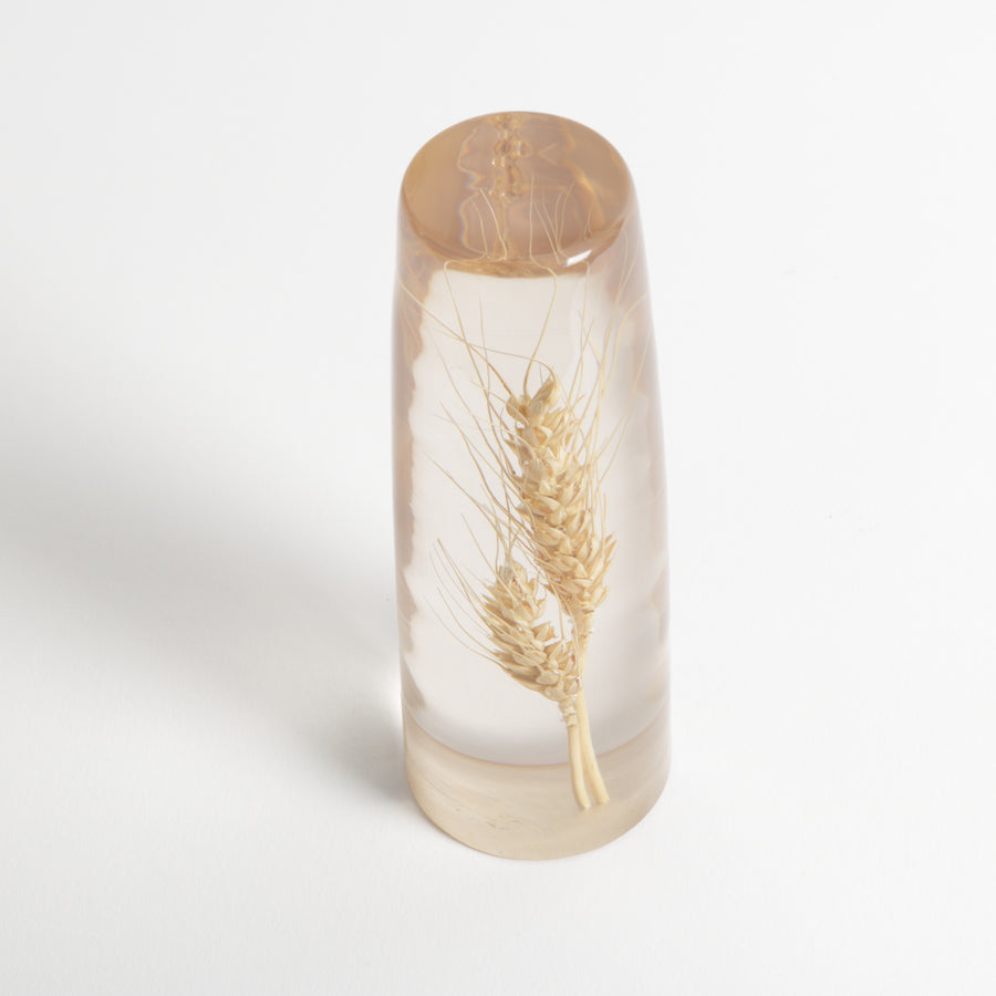 Wheat suspended in resin paperweight