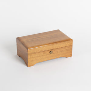 Wooden closed box with a brass round switch on a white background