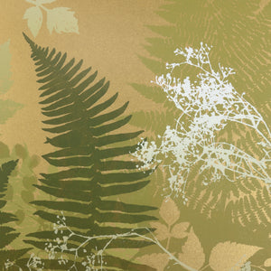 Roger Berghoff Patterns In Spring