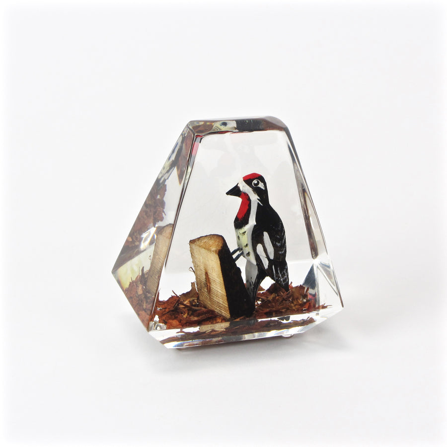Acrylic woodpecker paperweight front view
