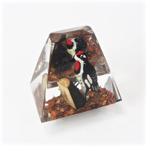 Acrylic woodpecker paperweight top angle view